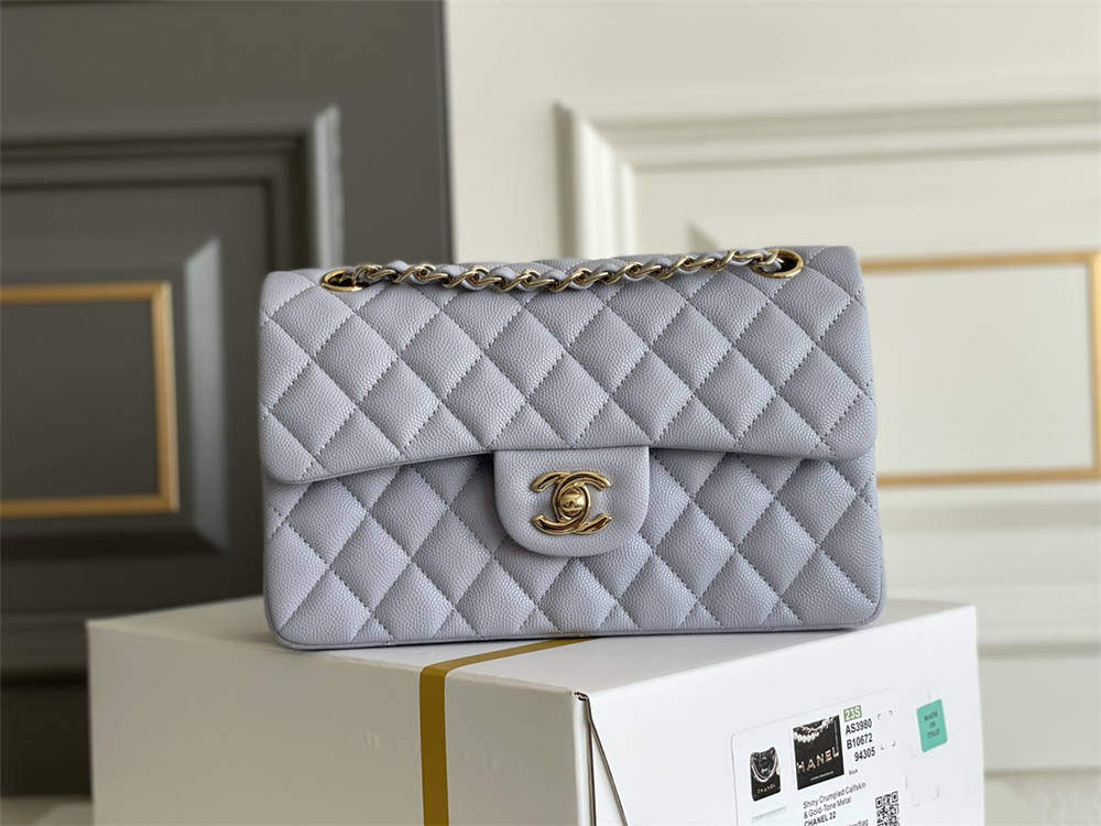 Chanel classic flap 23cm 2025 new 